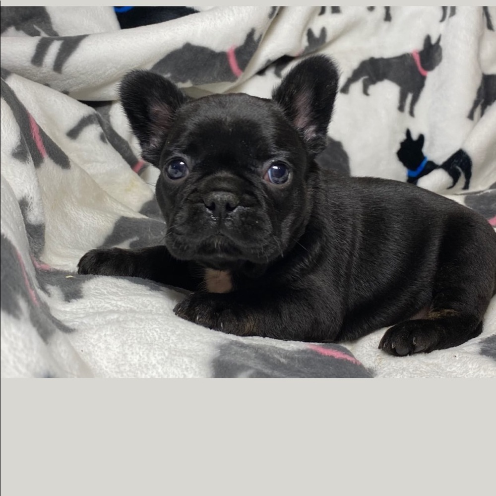 Meet your Posher, Mauri